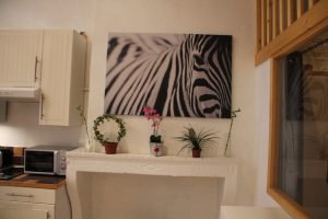 appartement-duplex-vieux-lyonIMG_3877