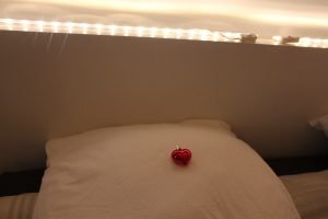 appartement-duplex-vieux-lyonIMG_3896