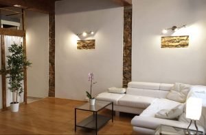 suite-executive-vieux-lyon20190513_160142