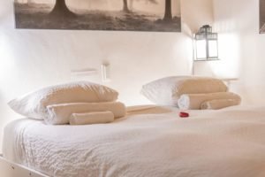 Loge3_01050-appartement-duplex-vieux-lyon