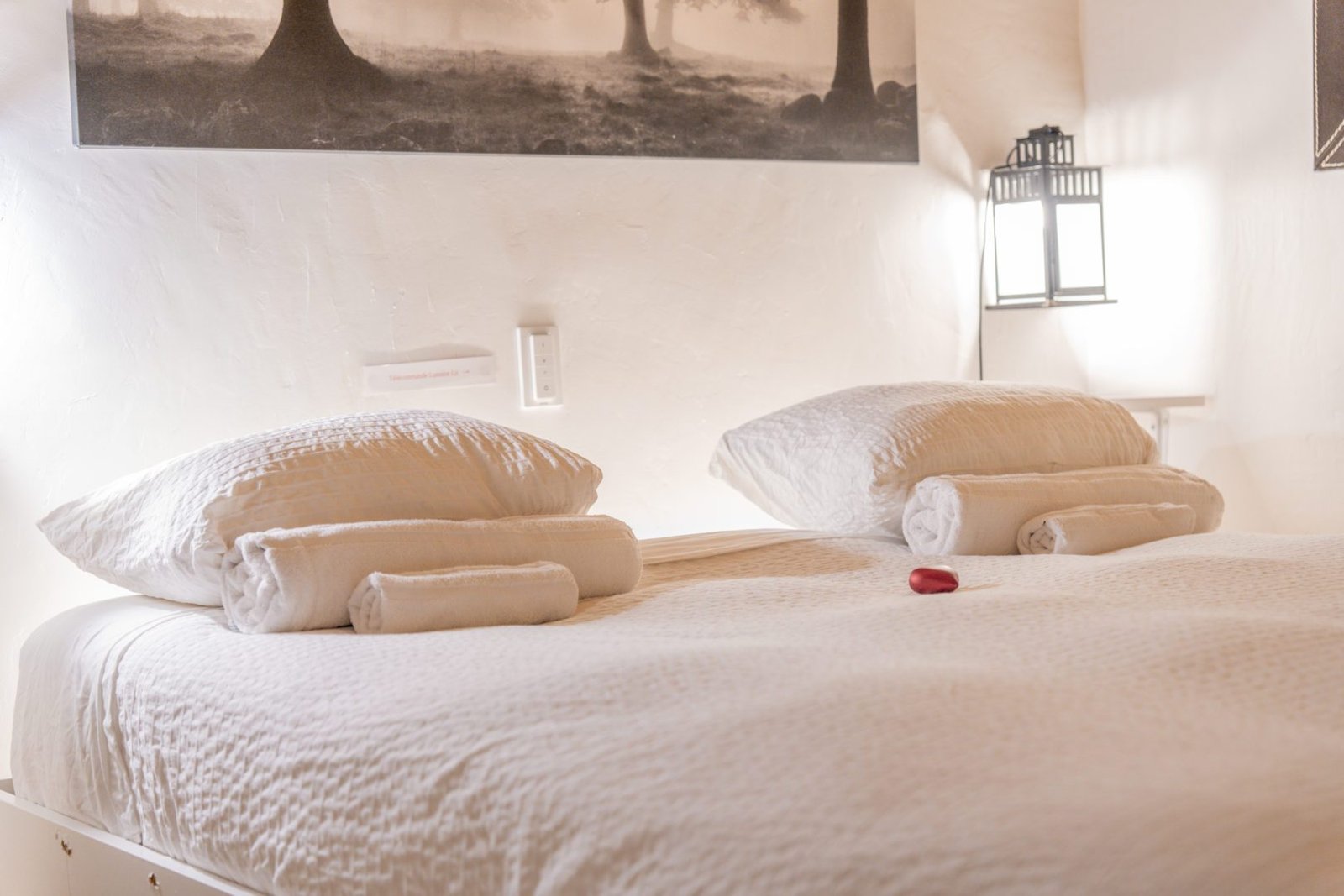 Duplex Apartment 45 - Loges de Lyon Loge3_01050-appartement-duplex-vieux-lyon