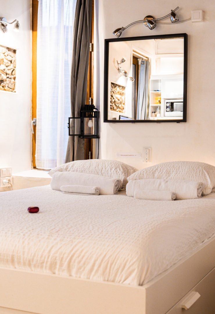 Appartement Deluxe 1 24 - Loges de Lyon deluxe-1-vieux-lyon_00964