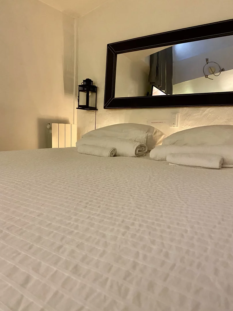 Appartement Supérieur 27 - Loges de Lyon appartement-superior-vieux-lyon_2666